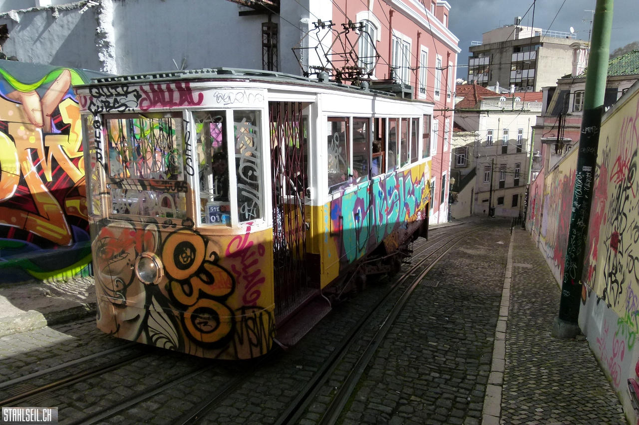 P1780777.JPG