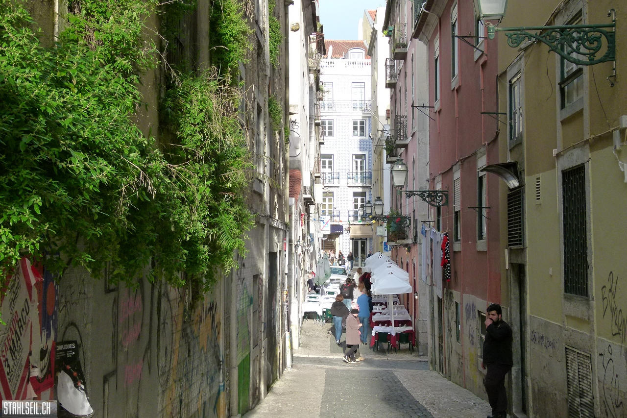 P1800175.JPG