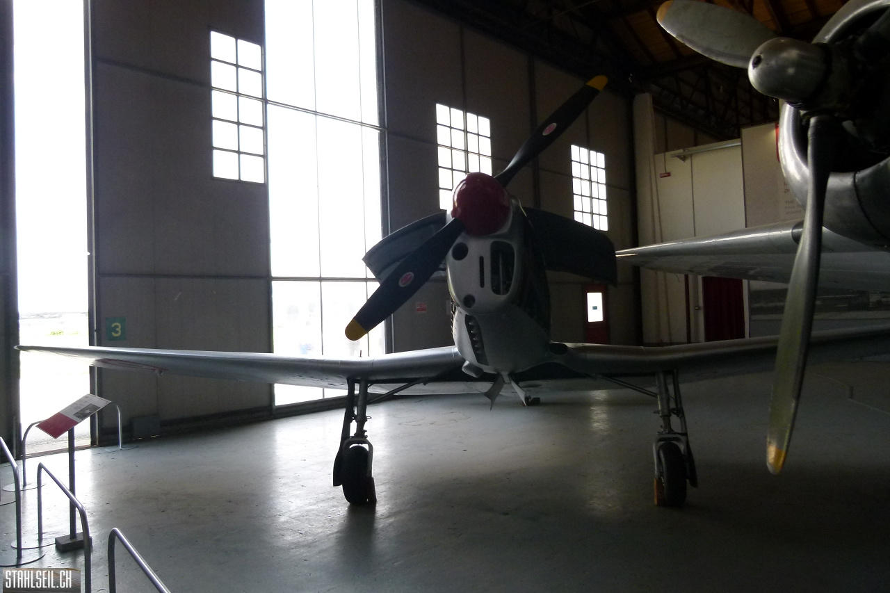P1810145.JPG