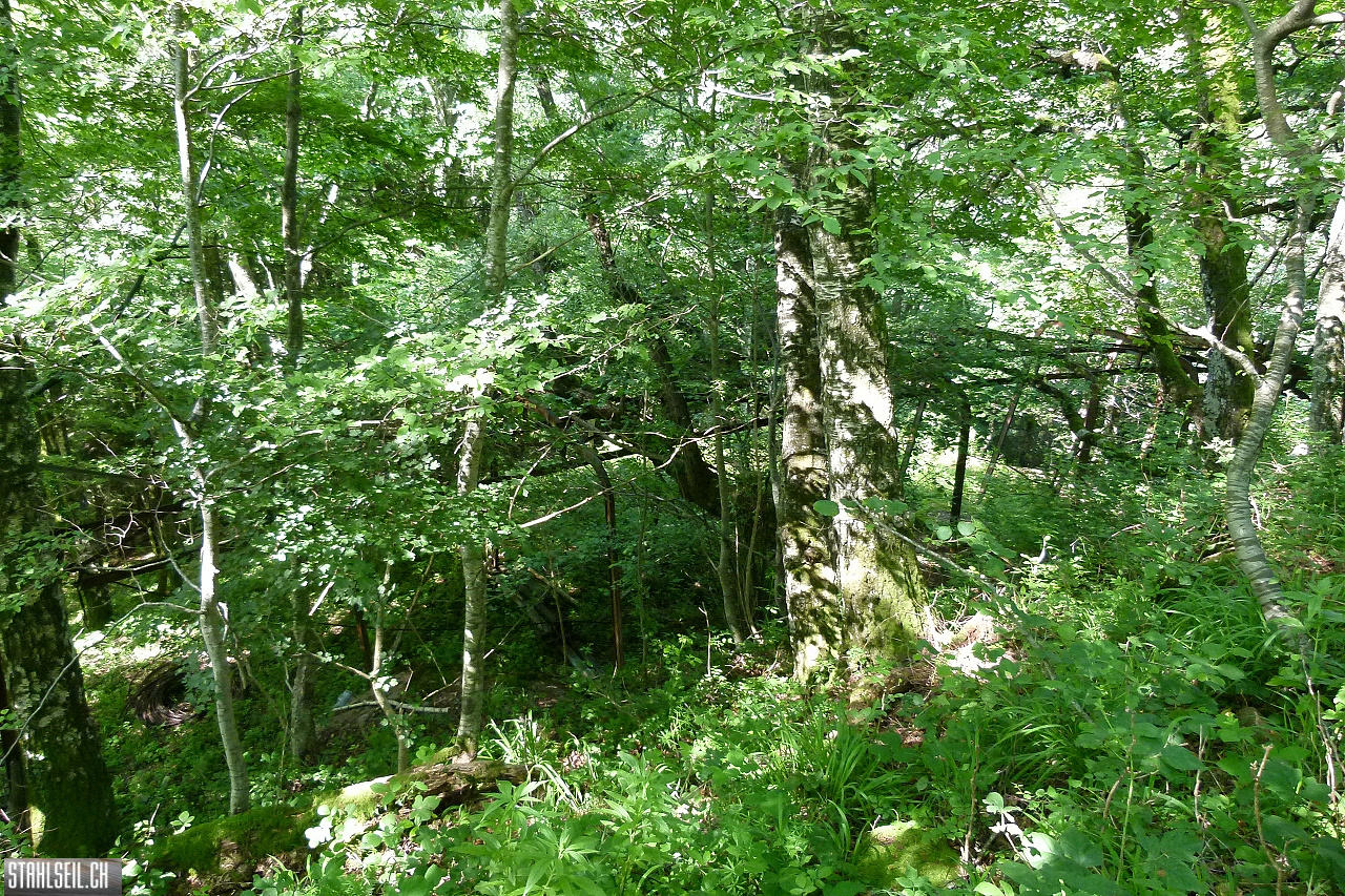 P1810447.JPG