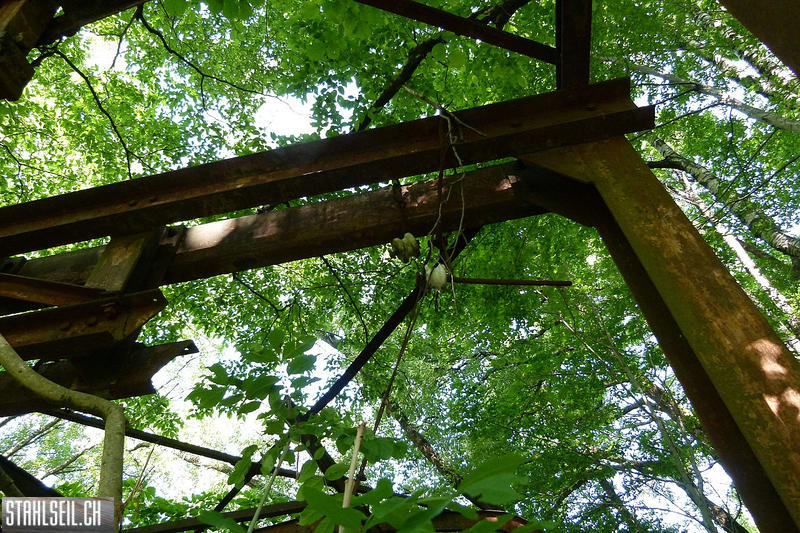 P1810455.JPG