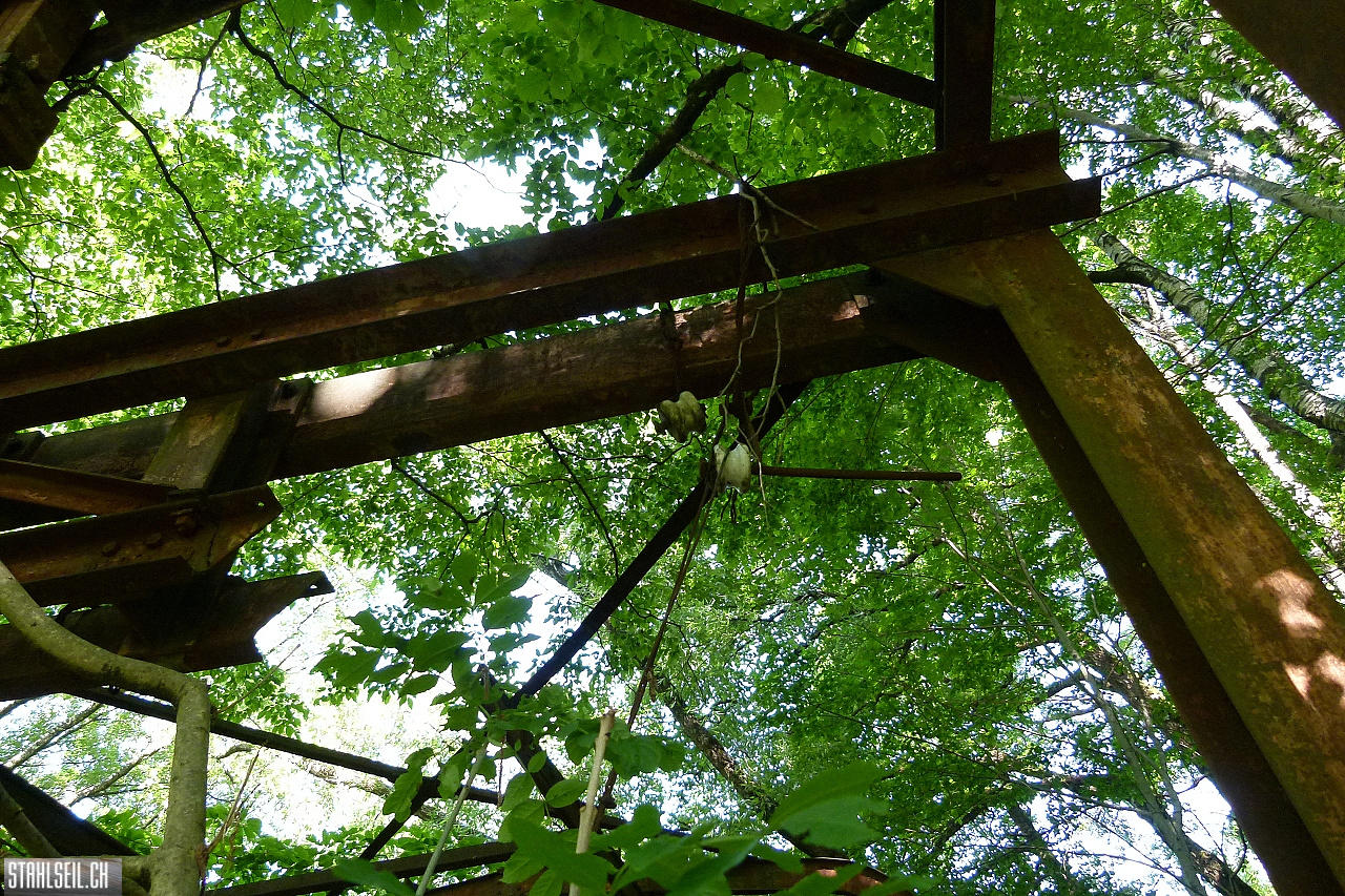 P1810455.JPG