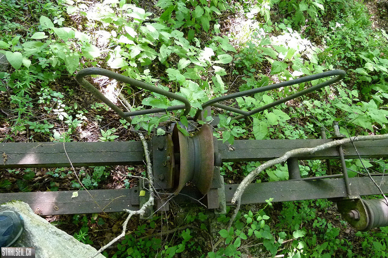 P1810456.JPG