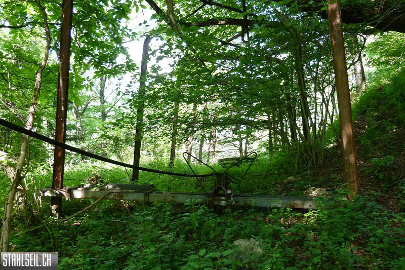 P1810459.JPG