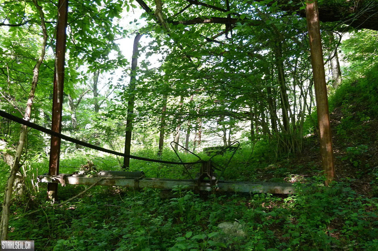 P1810459.JPG