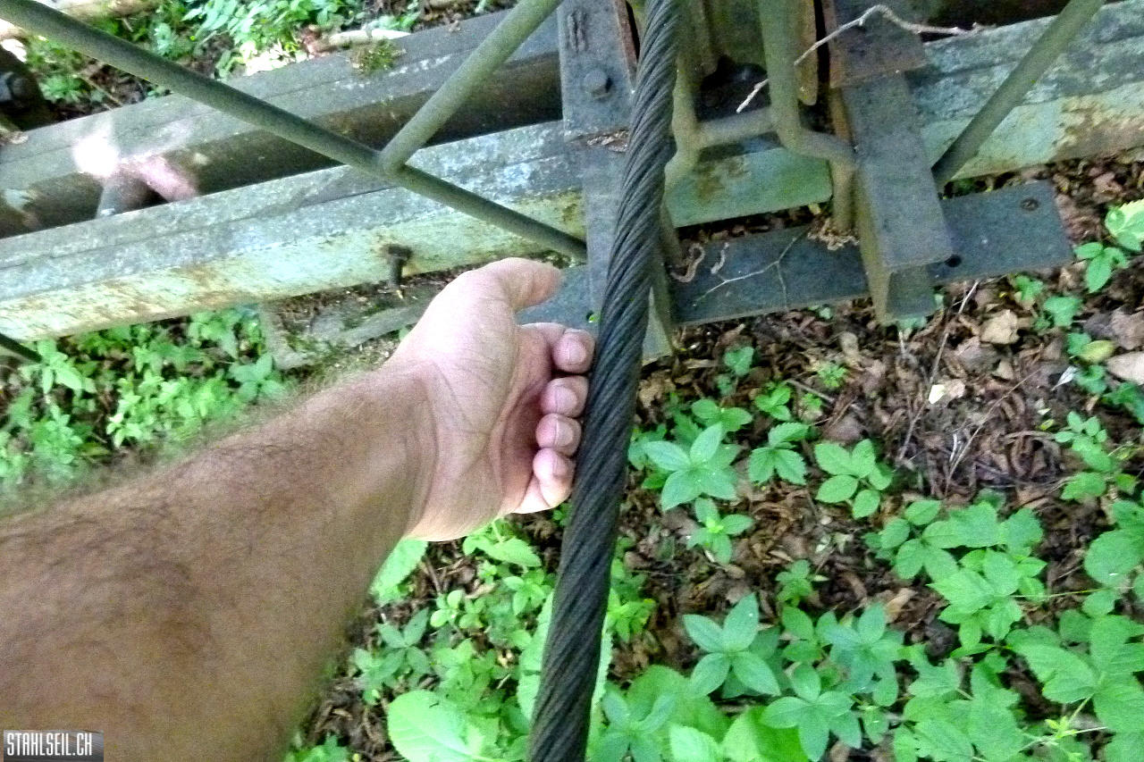 P1810461.JPG