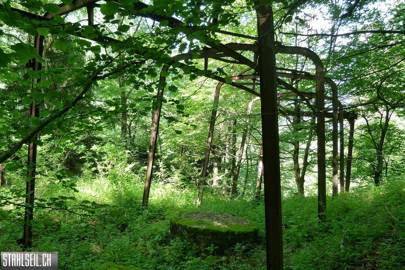 P1810463.JPG