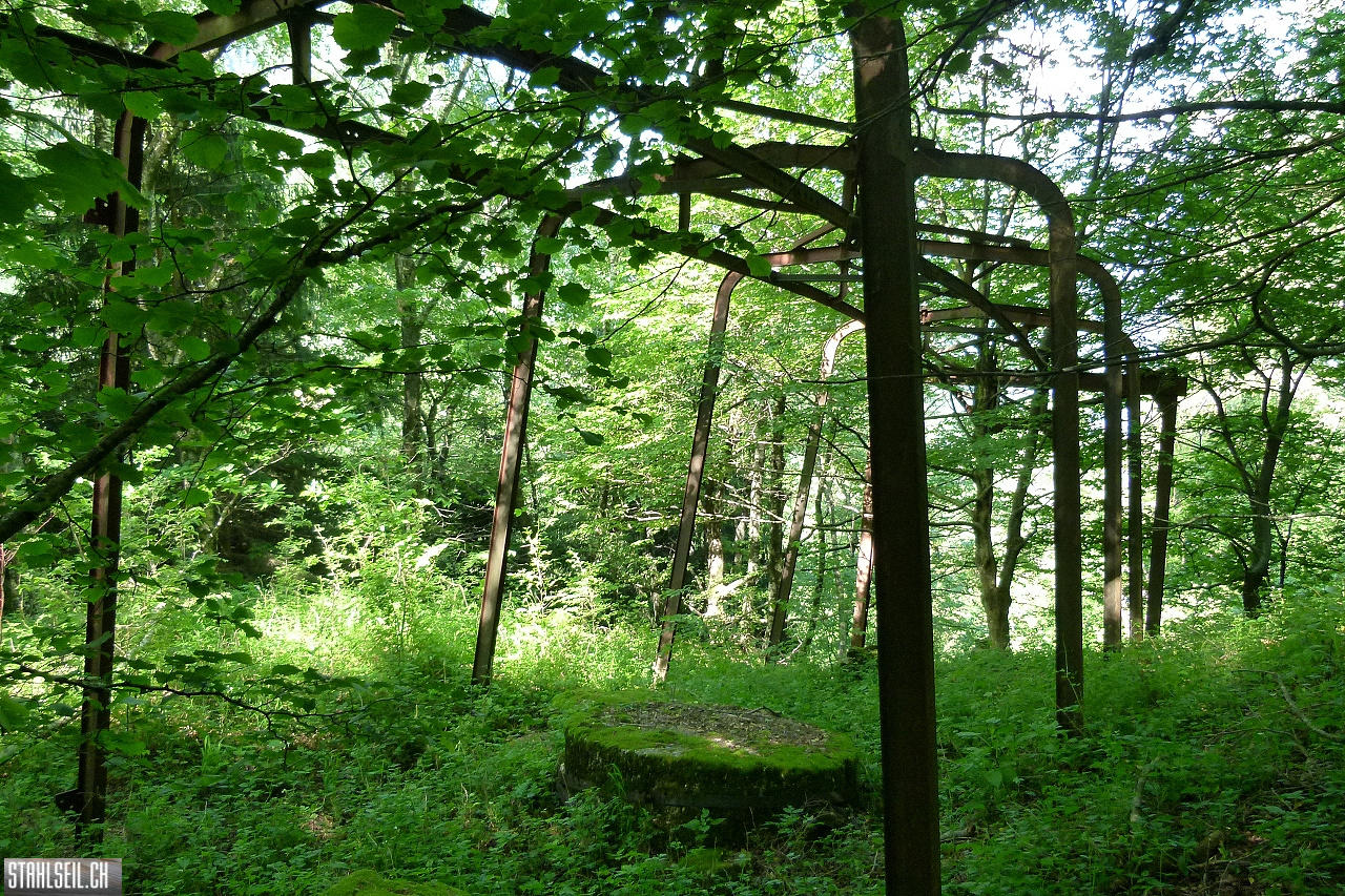 P1810463.JPG