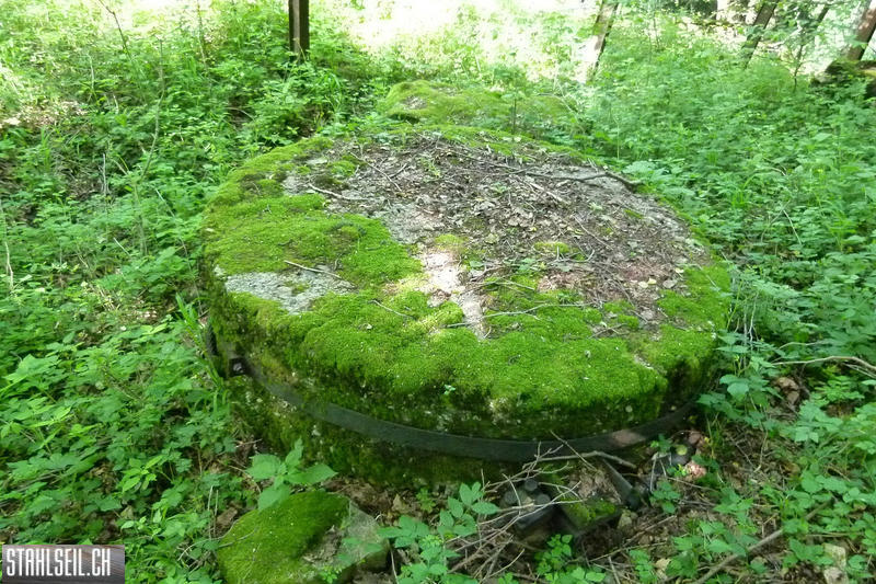 P1810464.JPG