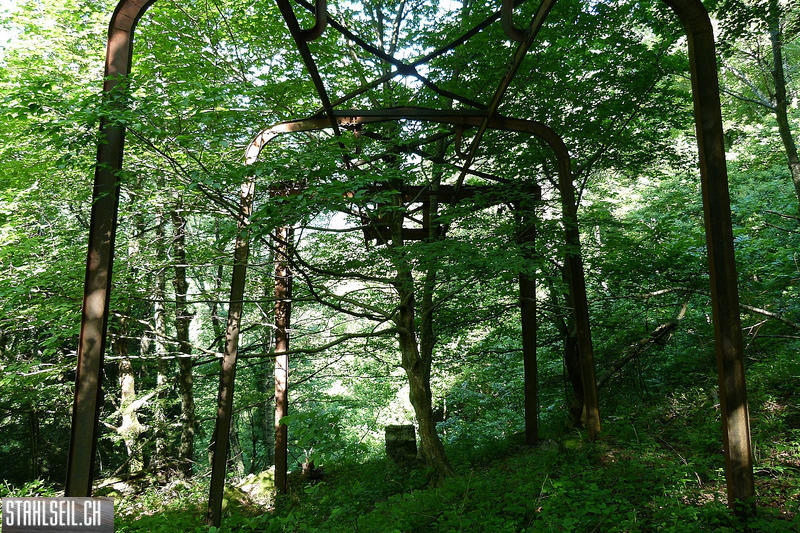 P1810465.JPG