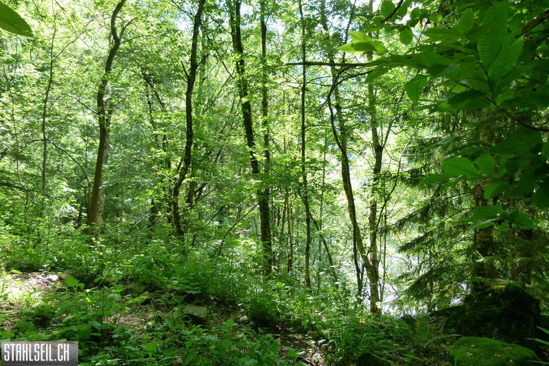 P1810486.JPG