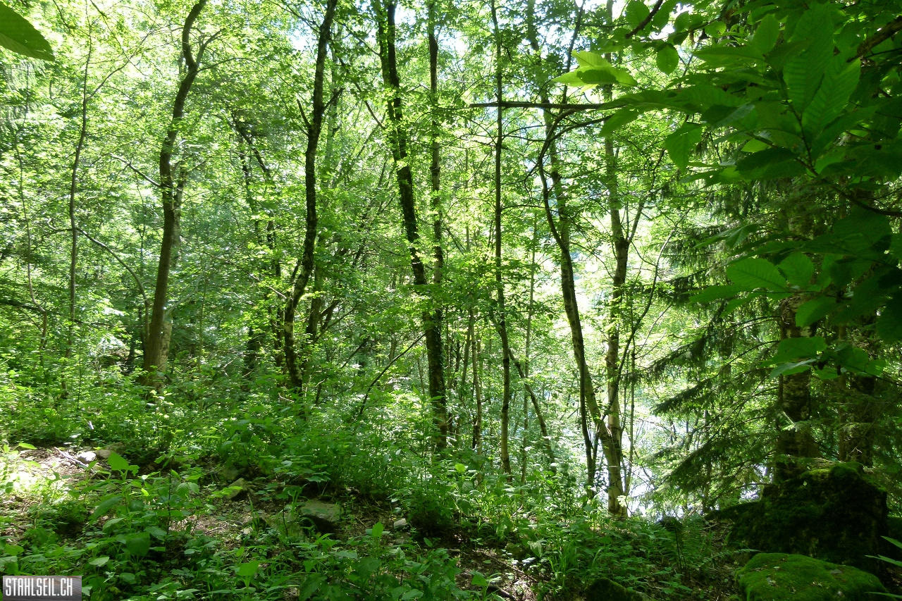 P1810486.JPG