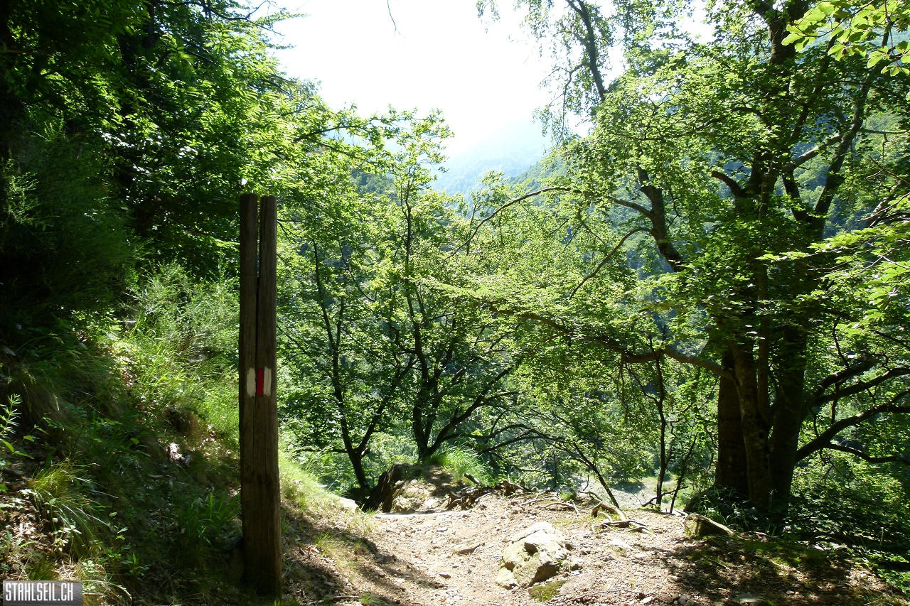 P1810495.JPG