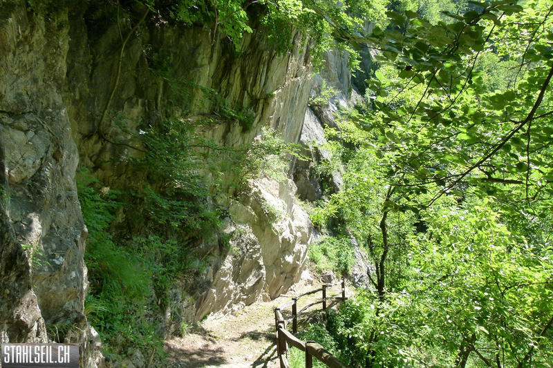 P1810501.JPG