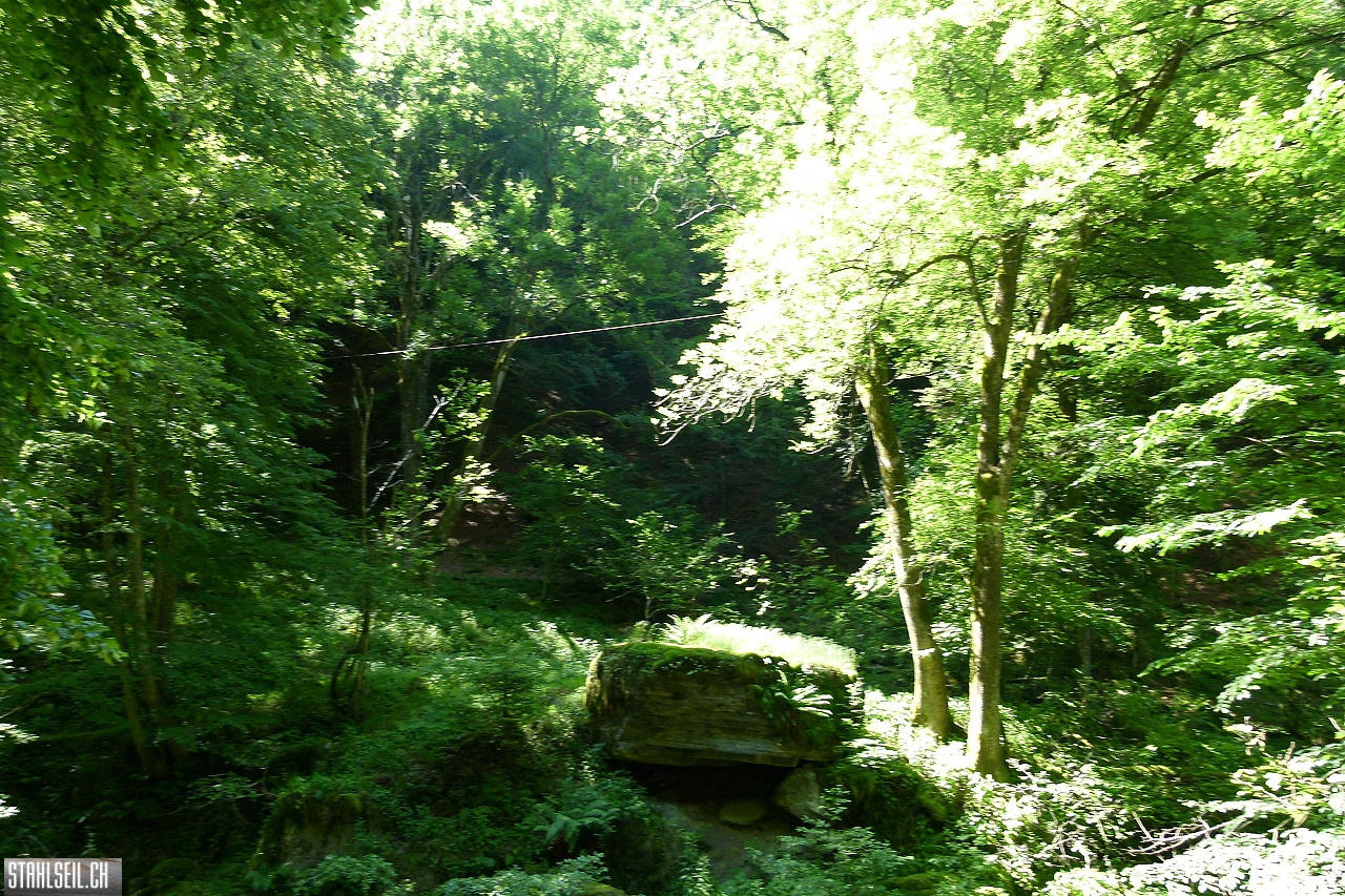 P1810538.JPG
