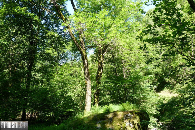 P1810542.JPG