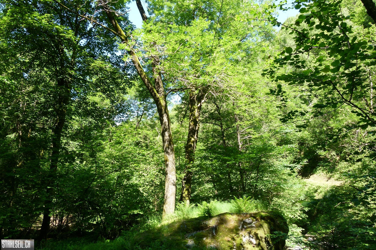 P1810542.JPG