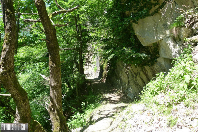 P1810581.JPG