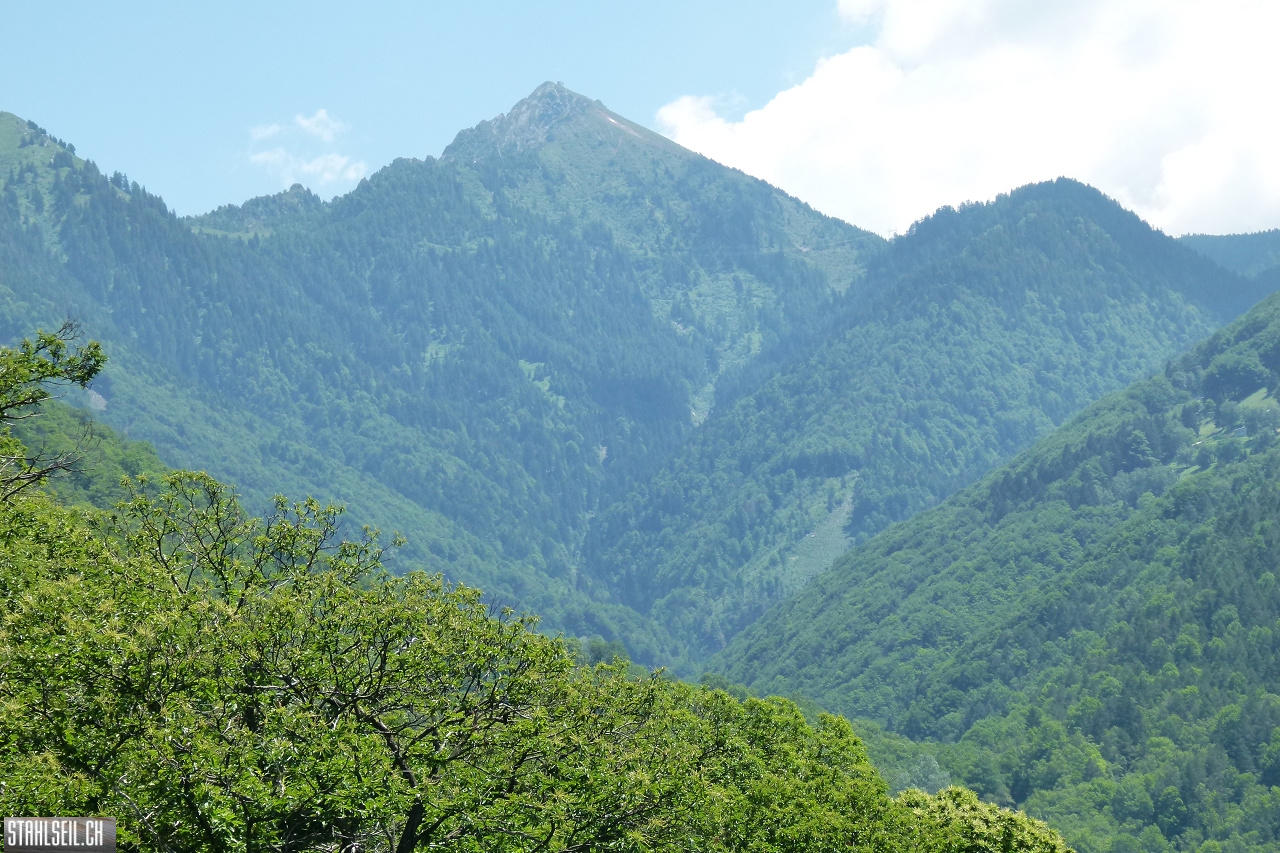 P1810610.JPG