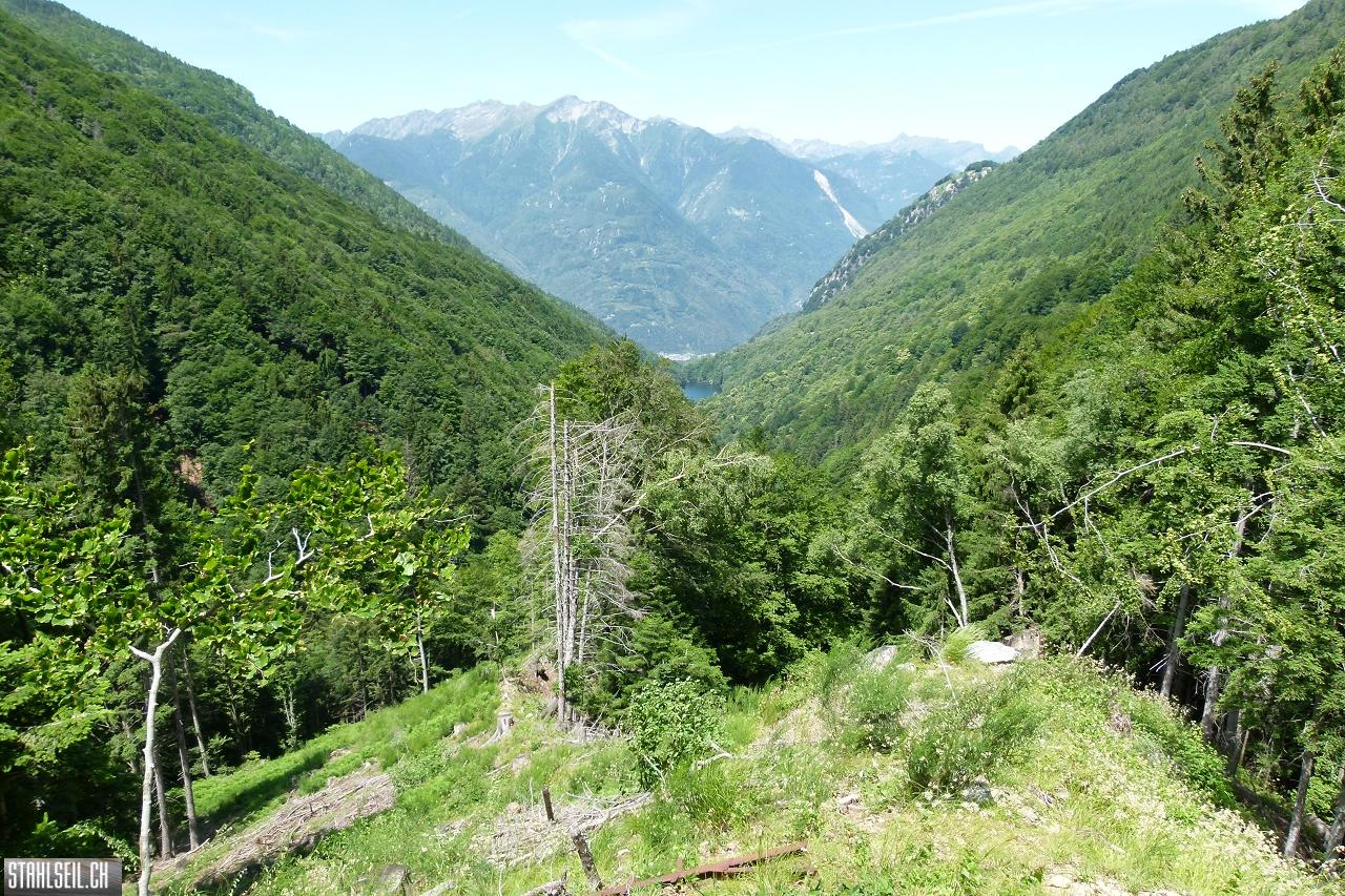 P1810661.JPG