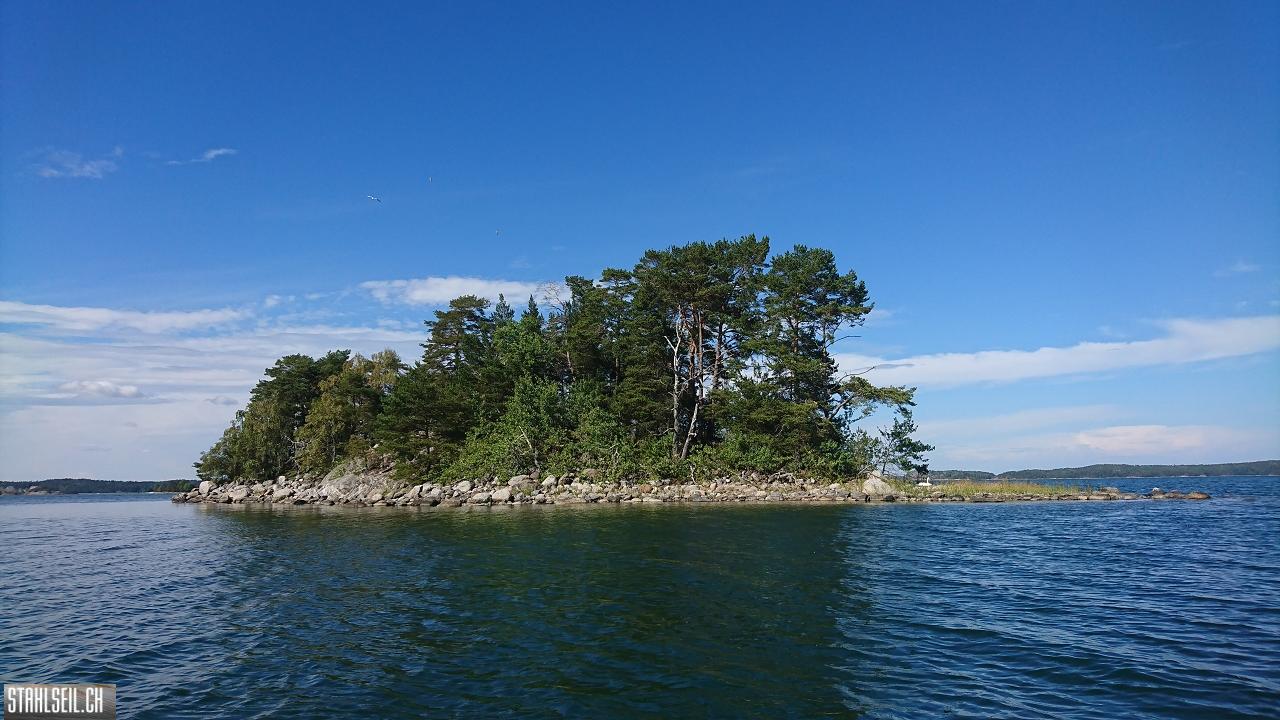 DSC_0865_2.JPG