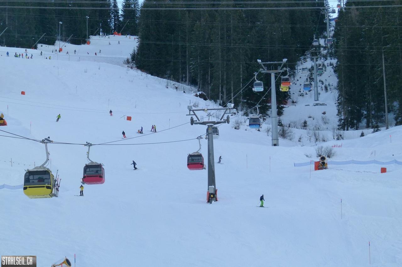 P1820390.JPG