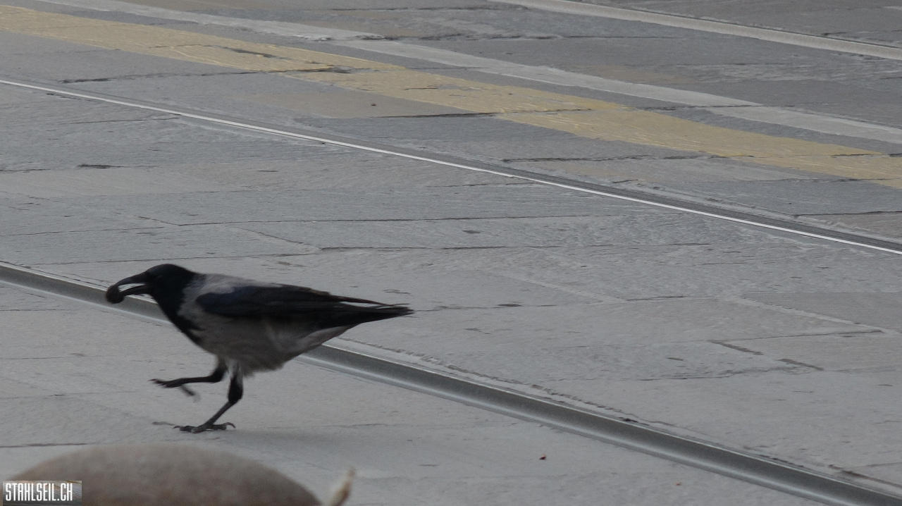 DSC04936.JPG