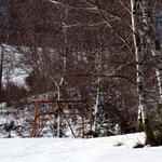 DSC05201.JPG