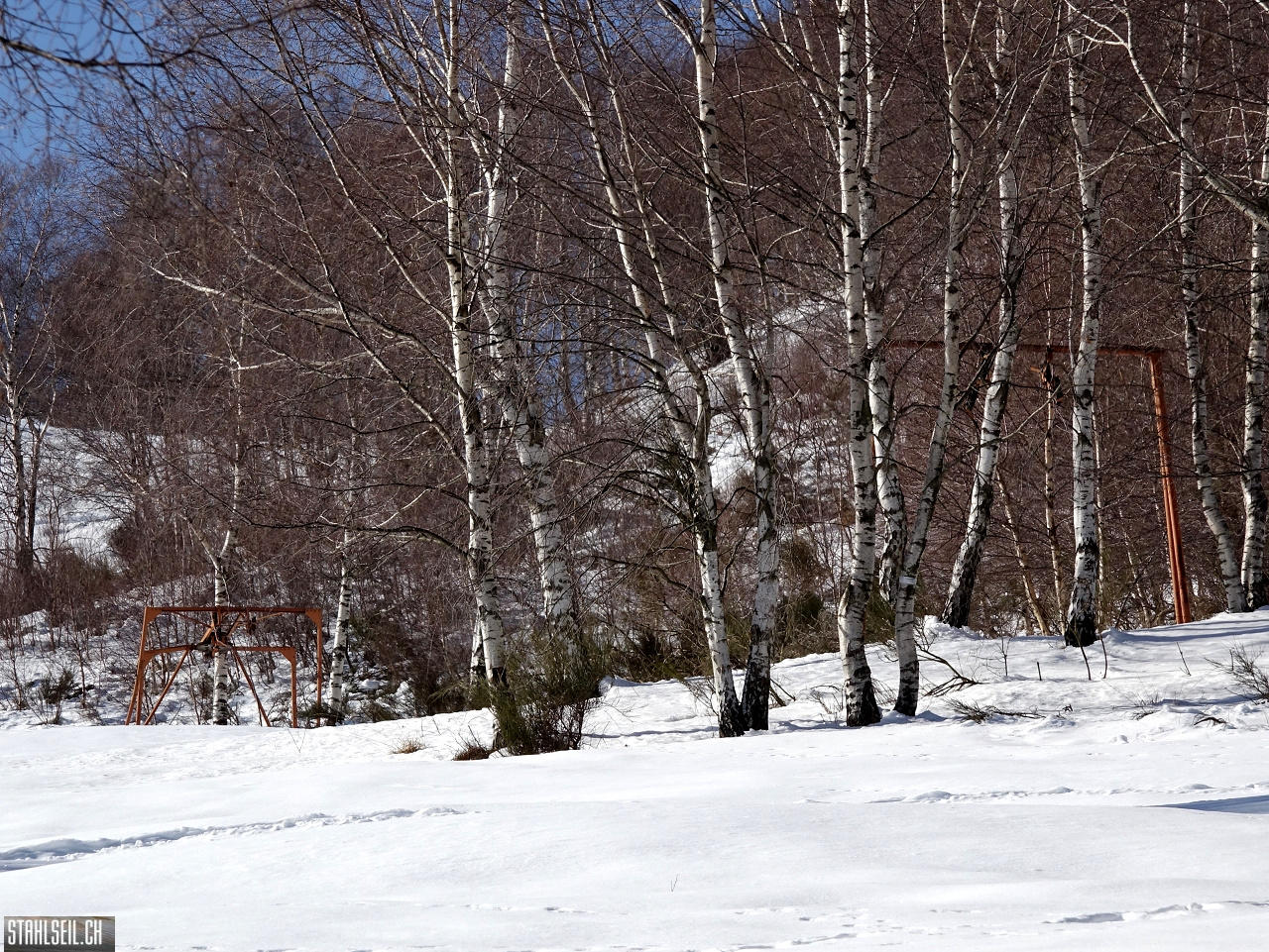DSC05202.JPG