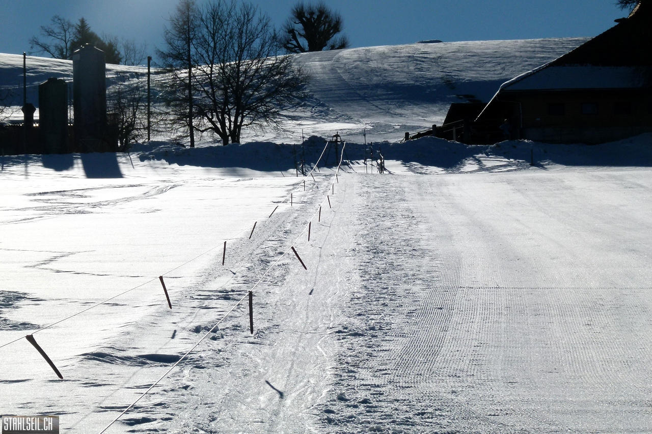 P1820875.JPG