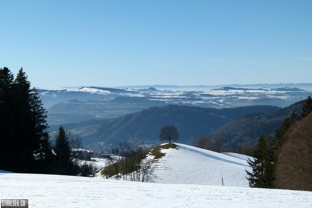 P1830184.JPG