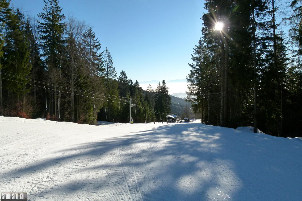 P1830420.JPG