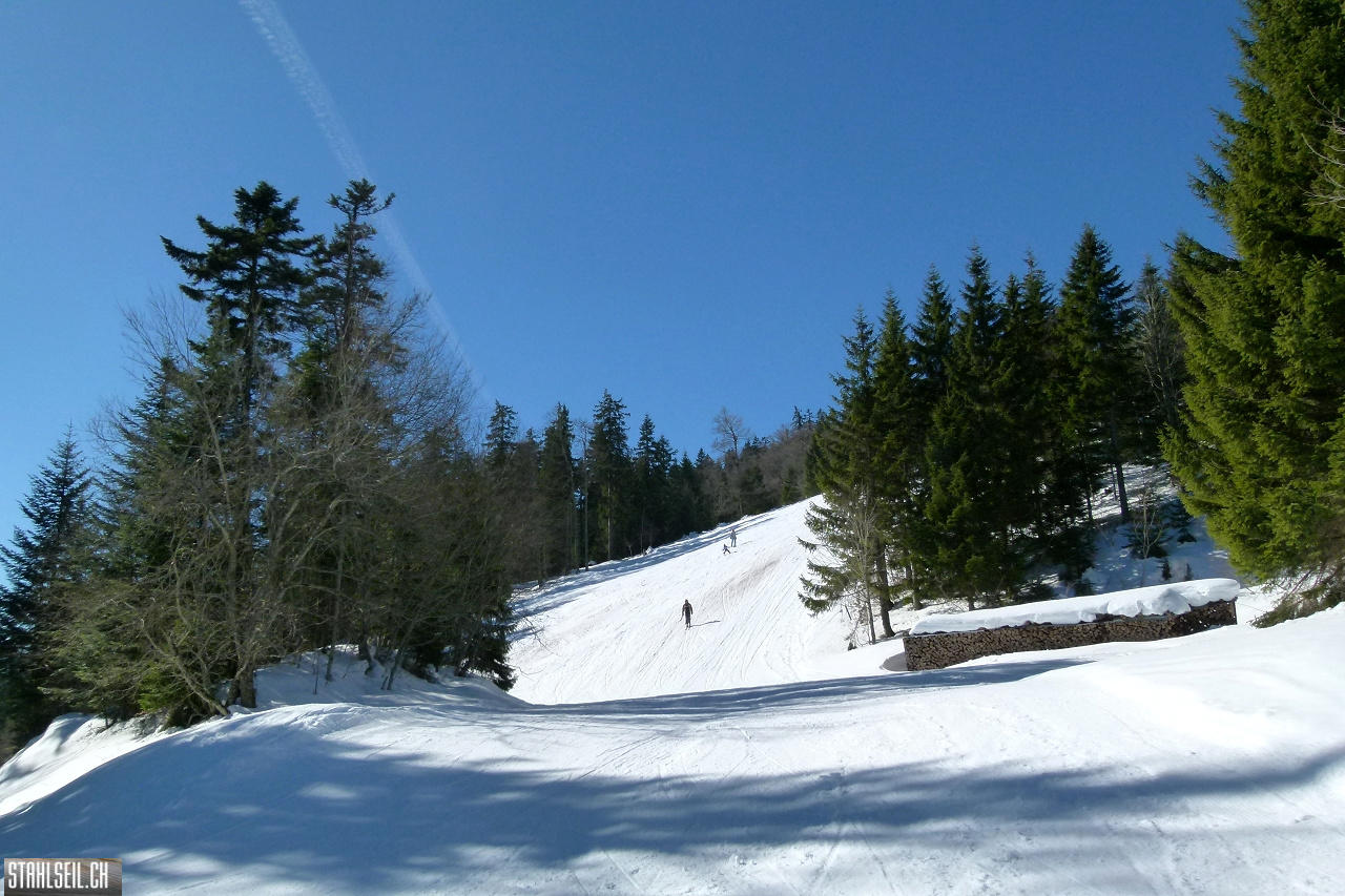 P1830632.JPG
