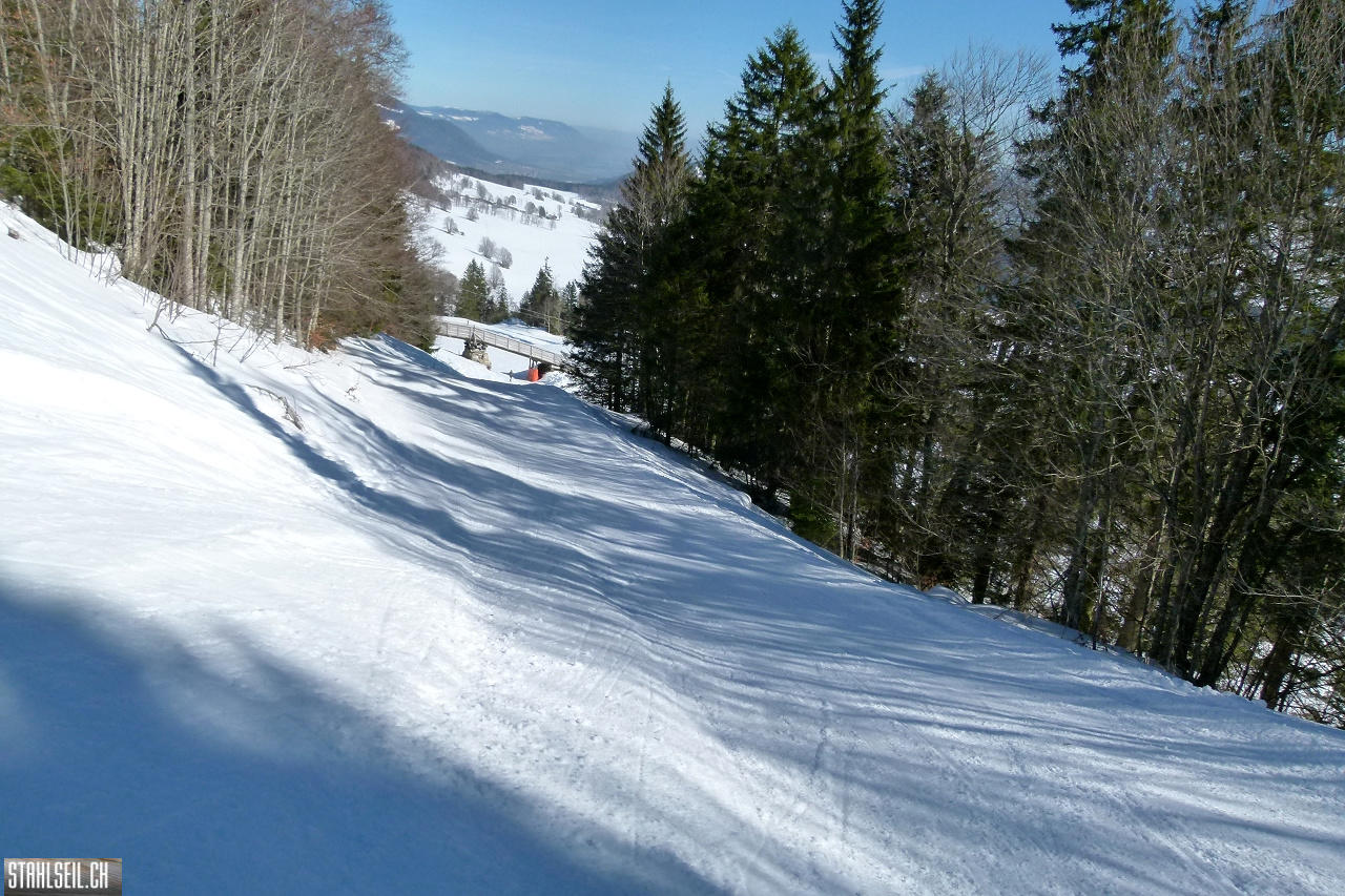 P1830633.JPG