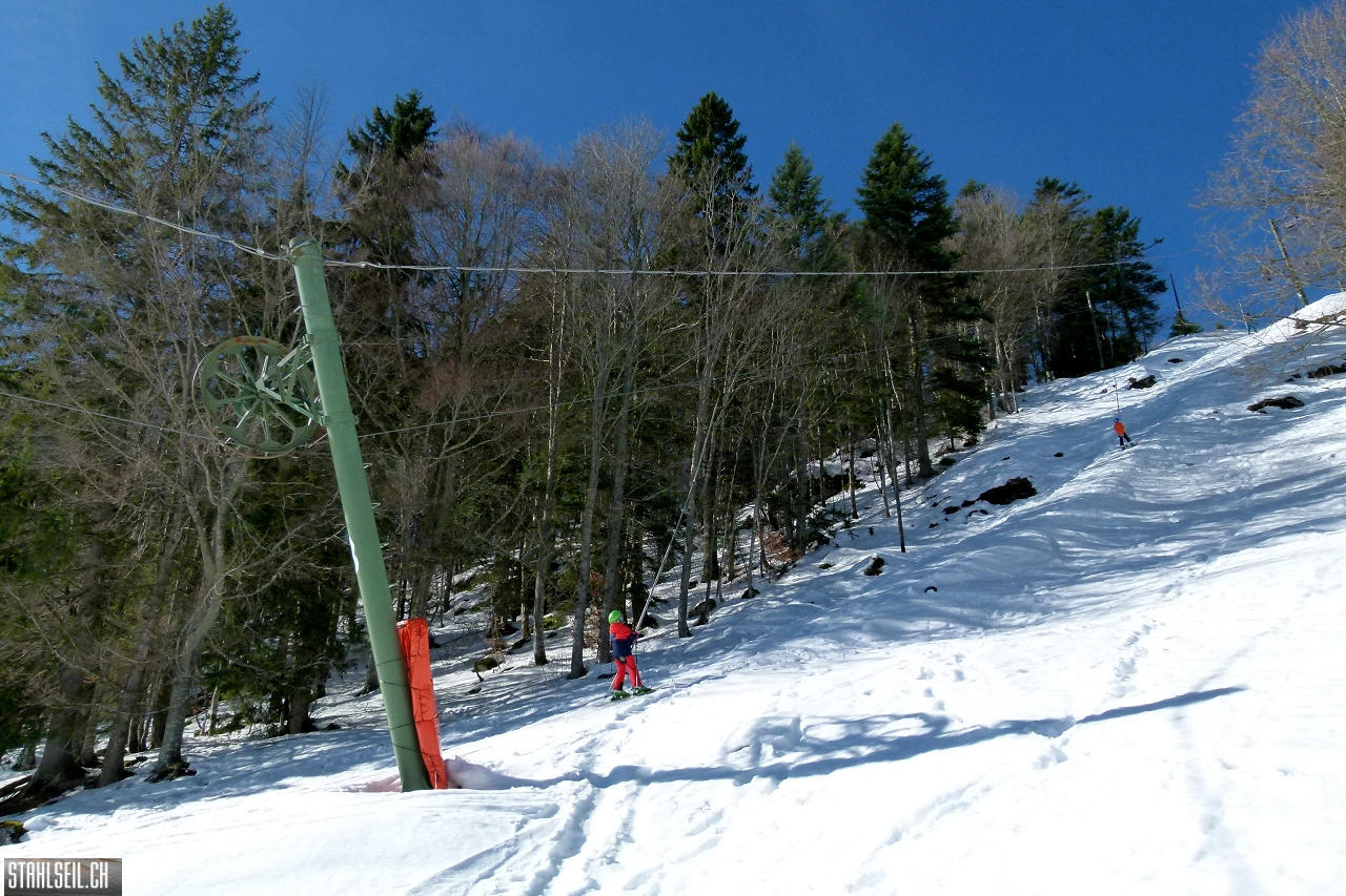 P1830651.JPG
