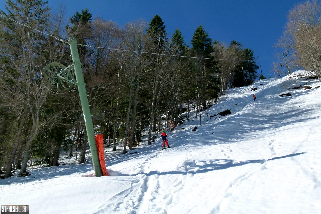 P1830652.JPG