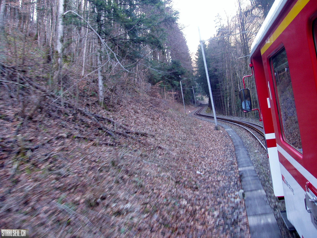 P4020028.JPG
