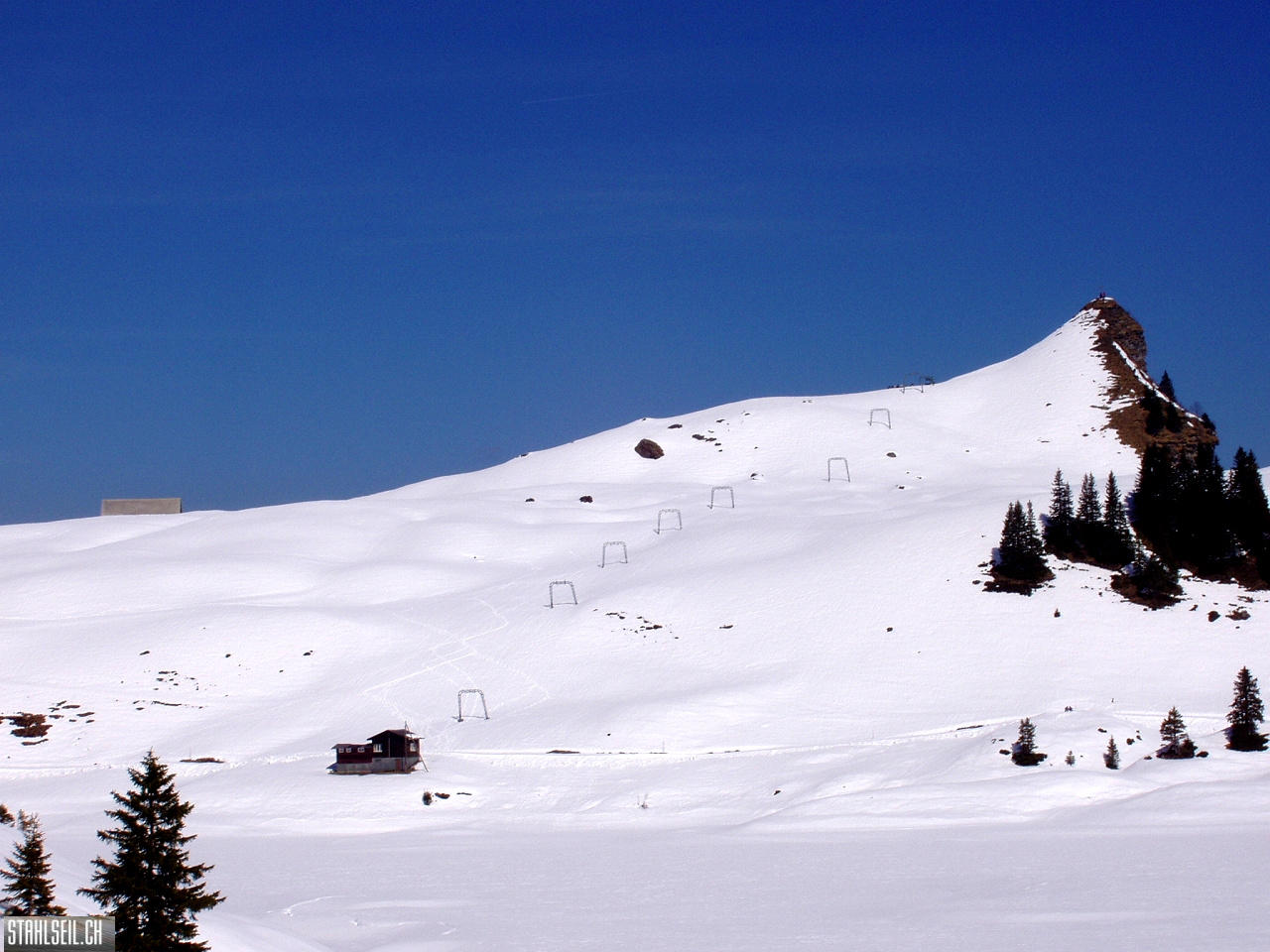 P4020429.JPG