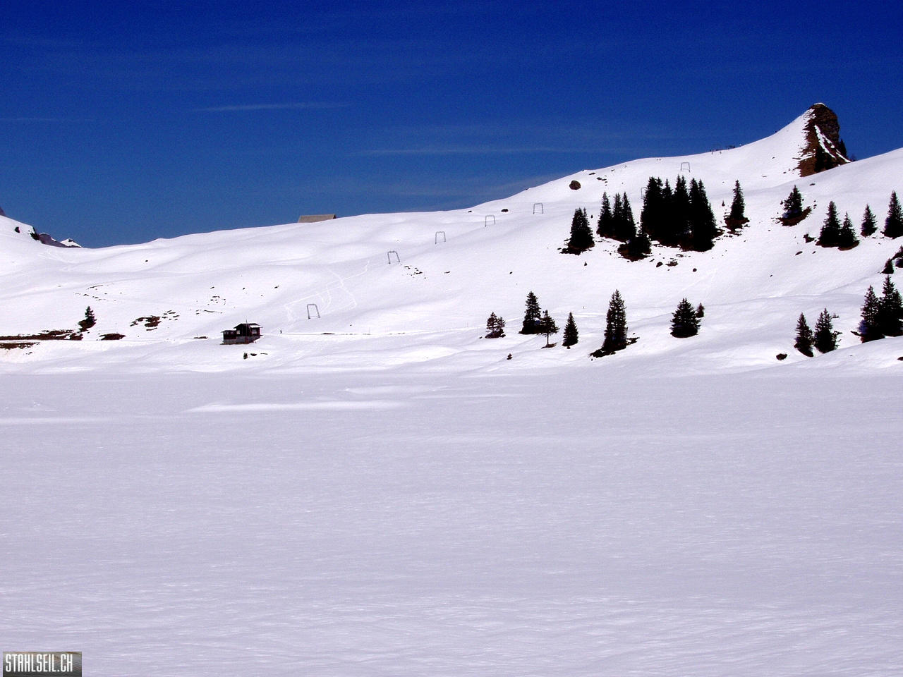 P4020432.JPG
