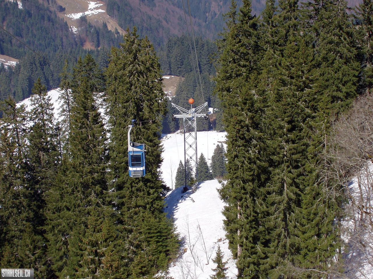 P4020686.JPG