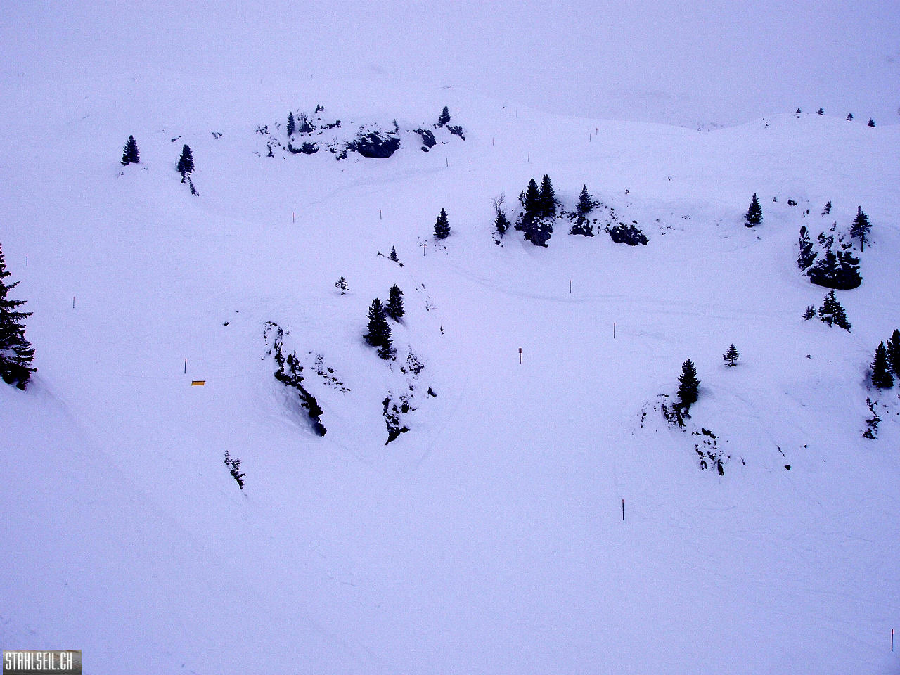 P3050087.JPG