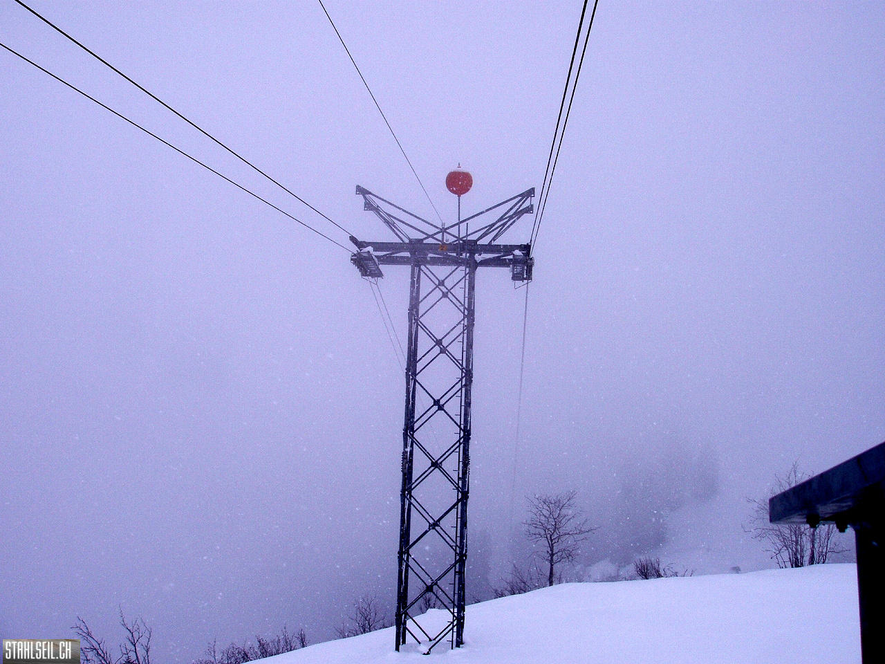P3050109.JPG