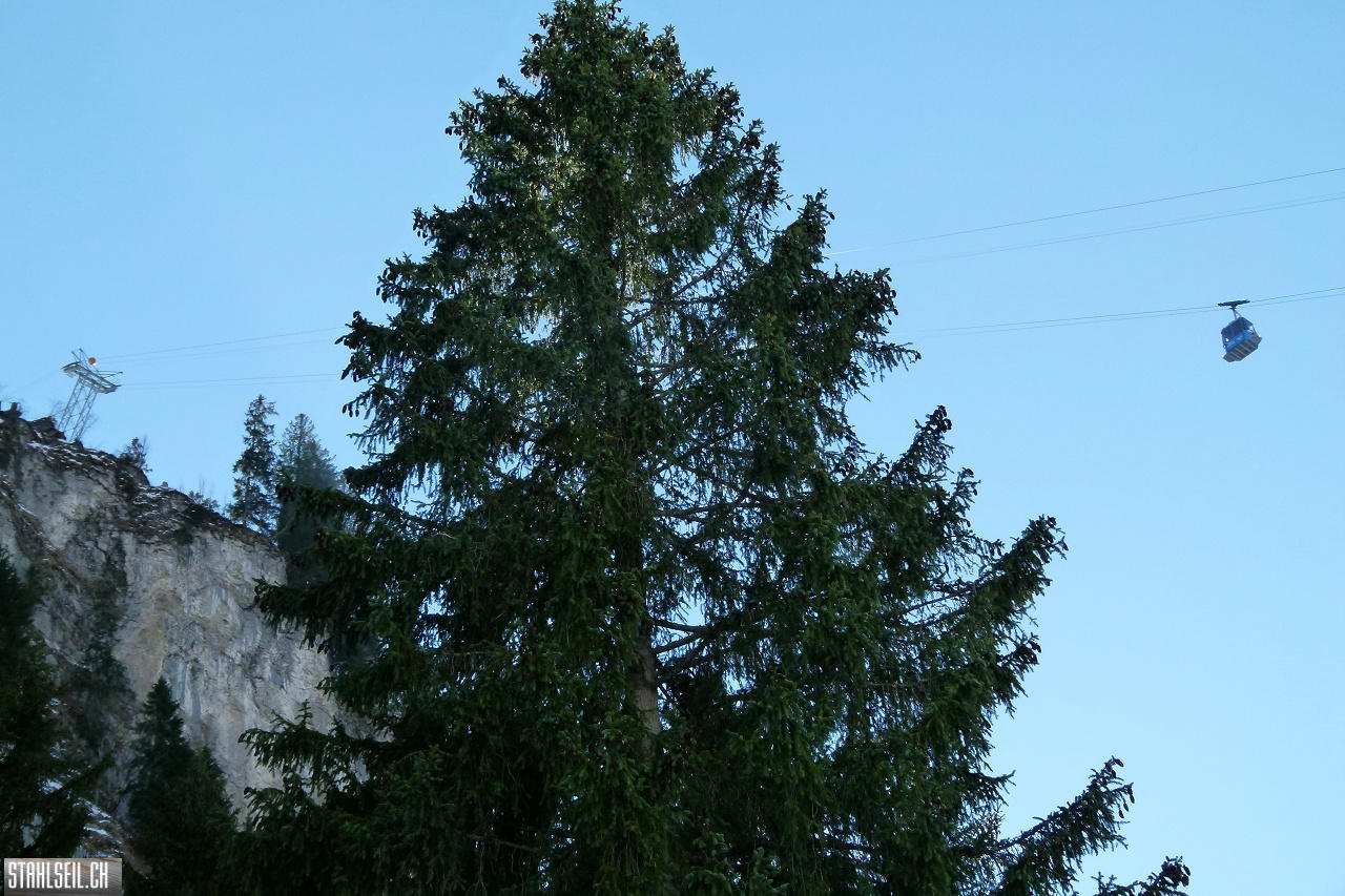 P1840827.JPG