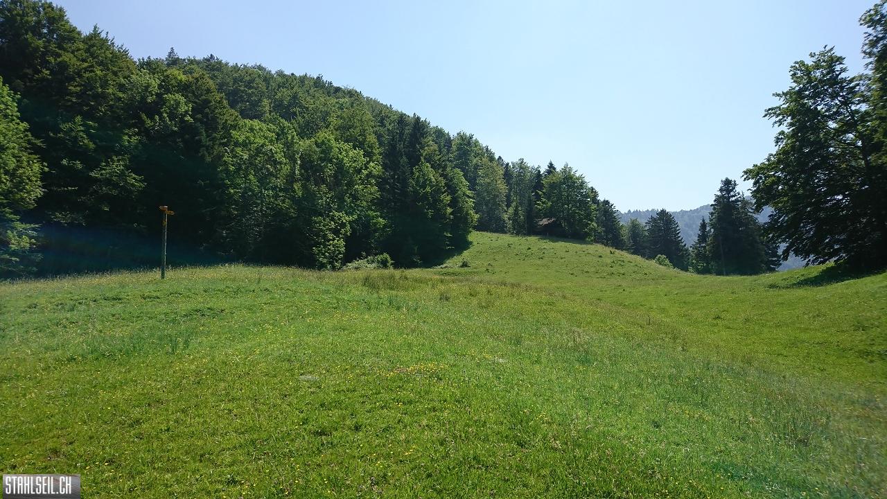DSC_0049.JPG
