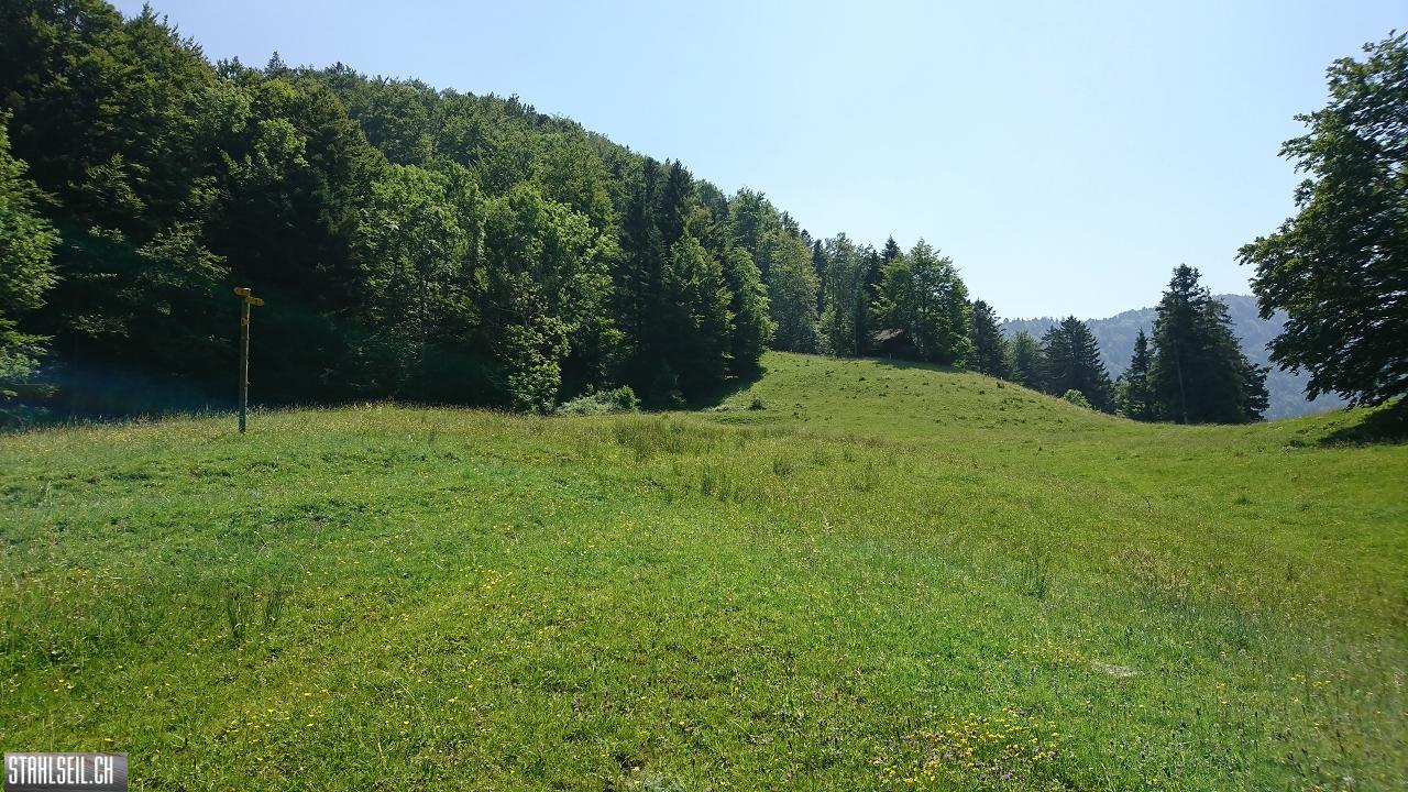 DSC_0050.JPG