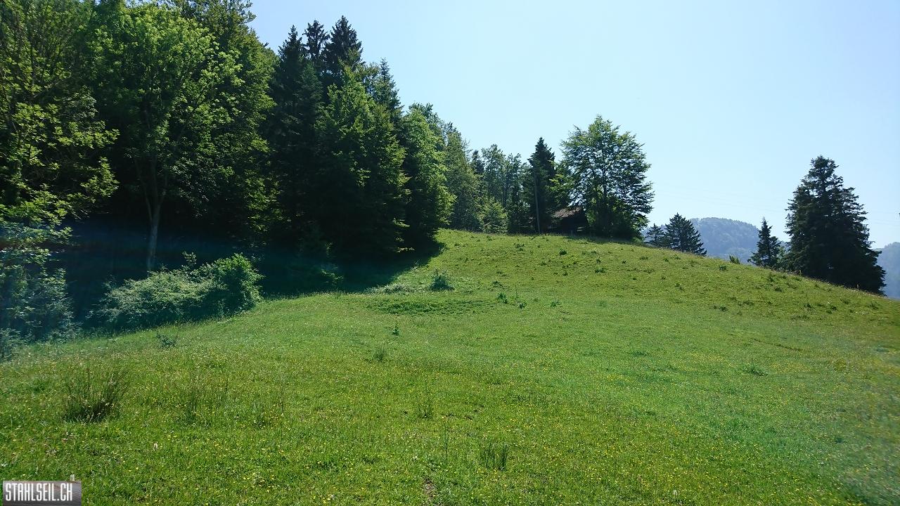 DSC_0051.JPG