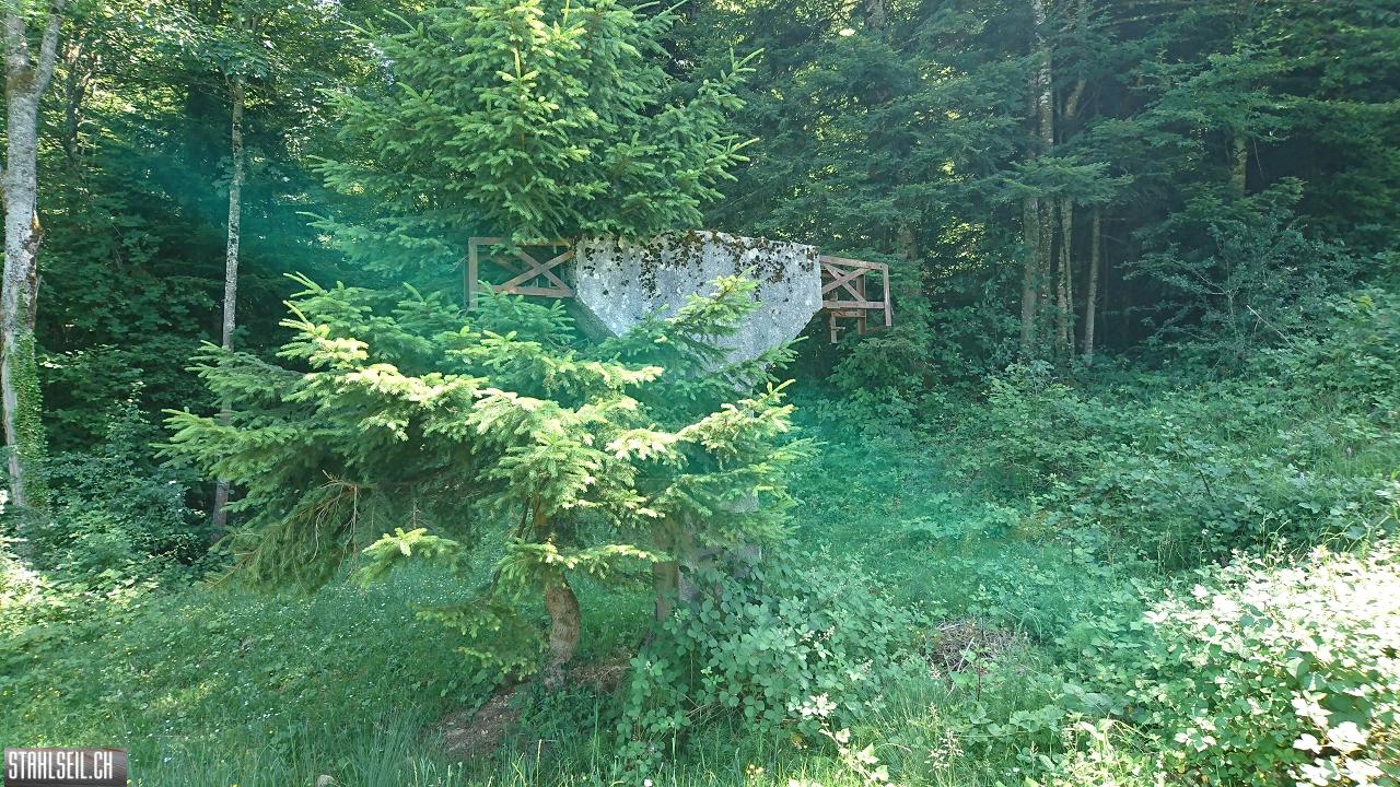 DSC_0053.JPG