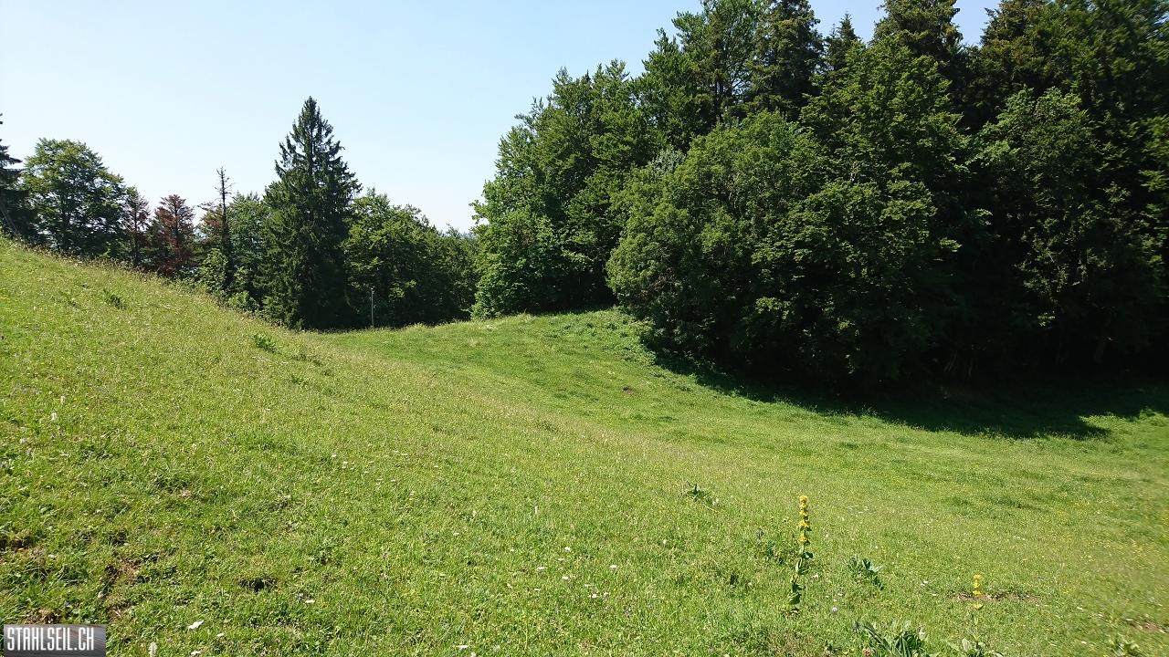 DSC_0055.JPG