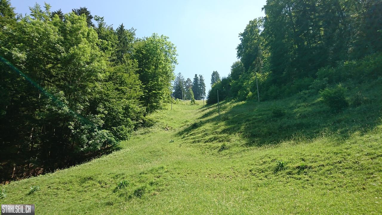 DSC_0066.JPG