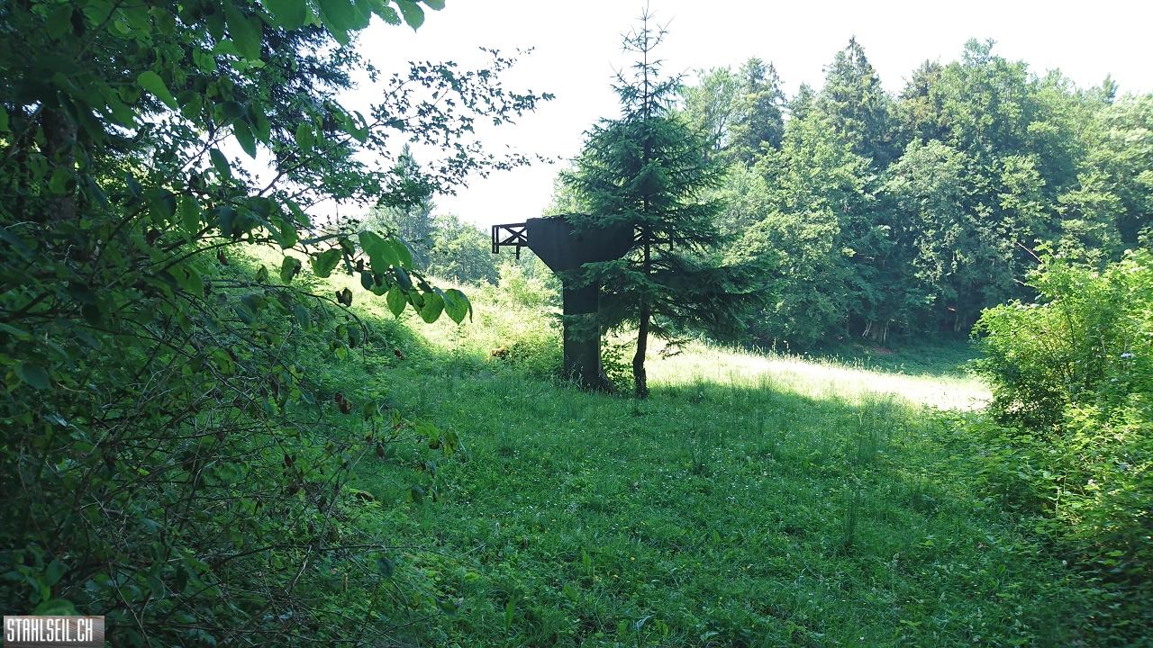 DSC_0070.JPG